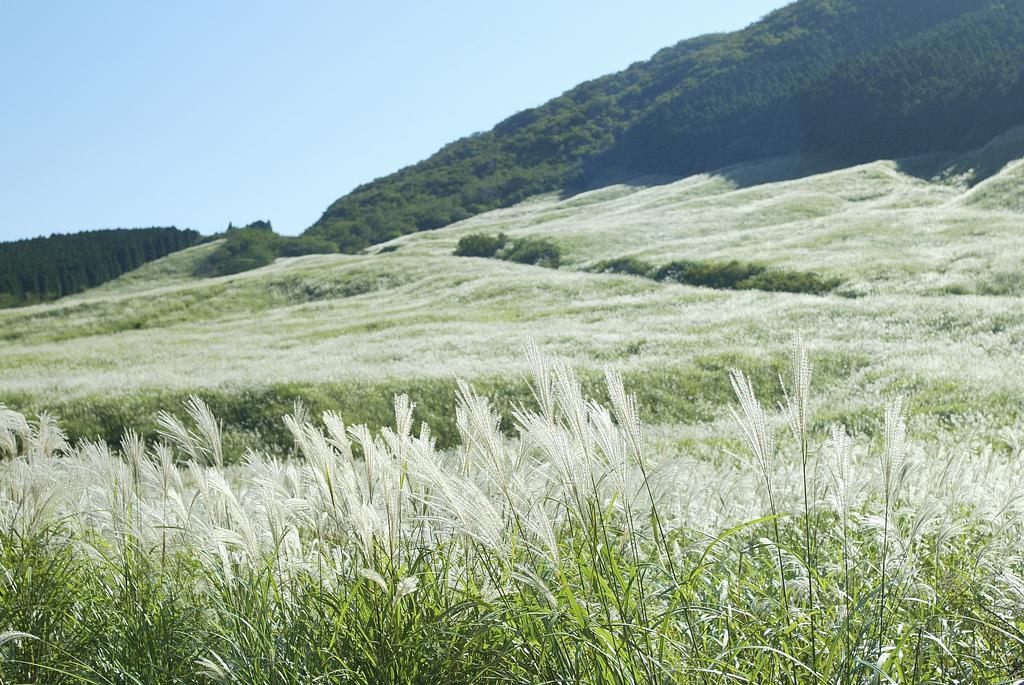 Hakone Highland Hotel Luaran gambar