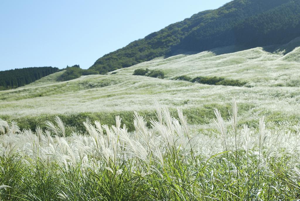 Hakone Highland Hotel Luaran gambar