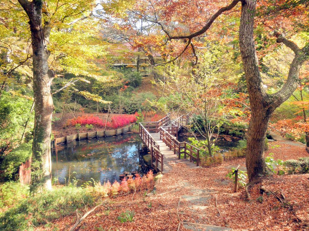 Hakone Highland Hotel Luaran gambar